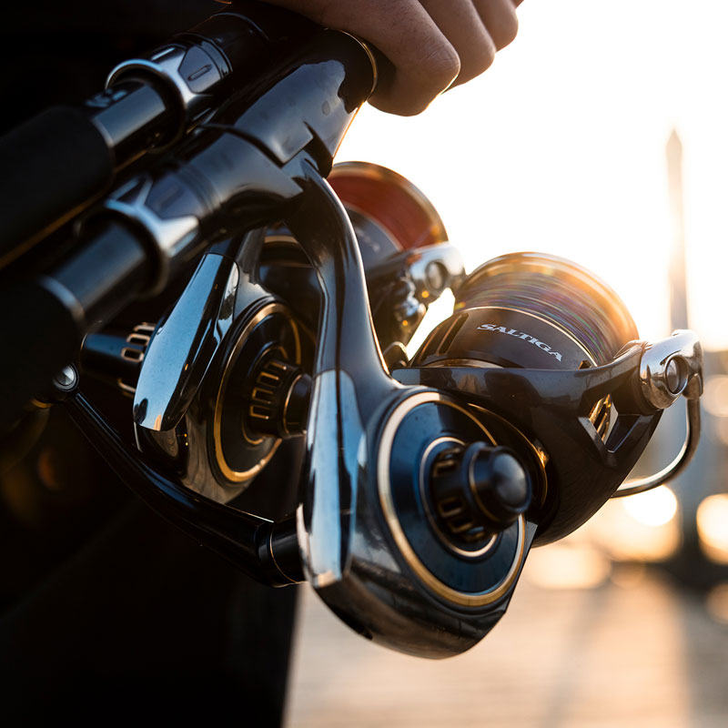 DAIWA 2025 Новая спиннинговая  – обзор и цена Daiwa Reel Bg